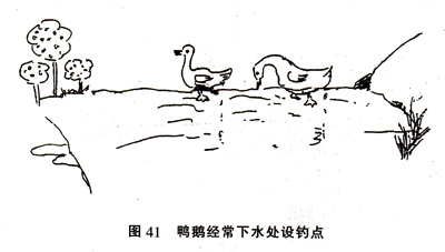 在池塘中钓鱼的14个好钓点推荐 配图