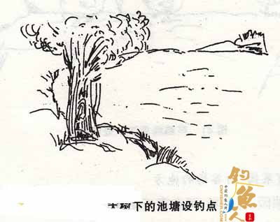 在池塘中钓鱼的14个好钓点推荐 配图