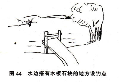 在池塘中钓鱼的14个好钓点推荐 配图