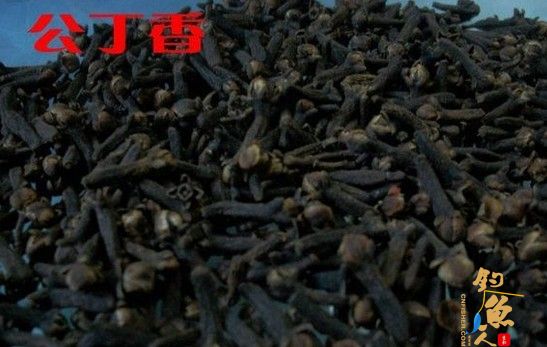 丁香油和丁香酒的自制过程