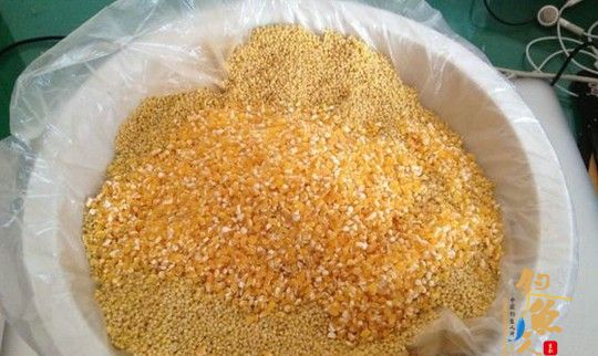 分享一则小米配制鲫鱼窝料的方法