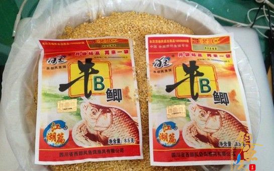 分享一则小米配制鲫鱼窝料的方法