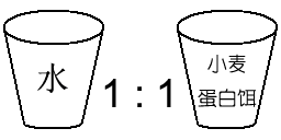 小麦蛋白饵的基本制作方法