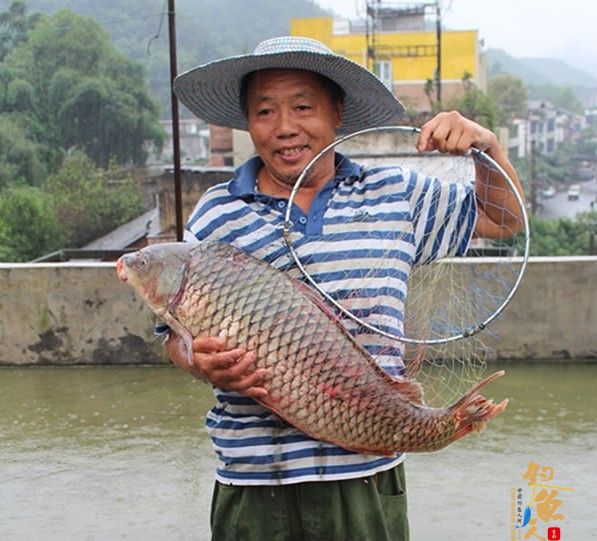宜宾钓鱼高手钓起20斤重鲤鱼