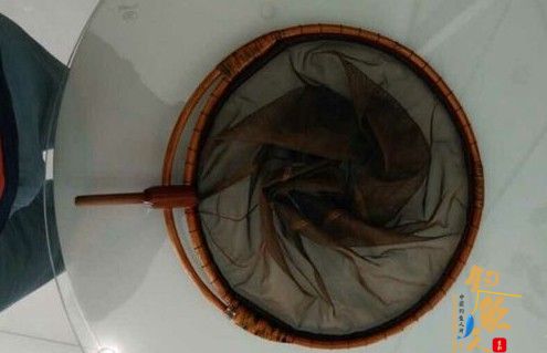 自制抄网头万力抄网