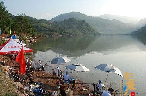 云南昭通市绥江400名垂钓高手千年渔村一决高下