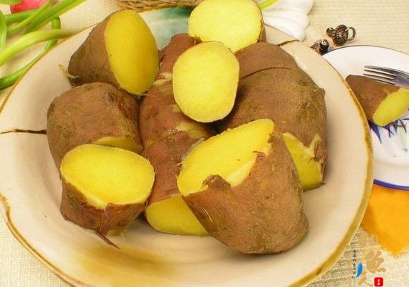 红薯玉米面 钓鲤鱼饵料 配方