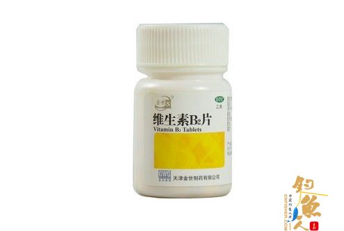 红薯玉米面 钓鲤鱼饵料 配方