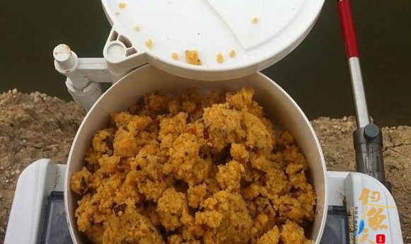纯天然 红薯玉米 枣香 黑坑 钓鲤鱼饵料 配方