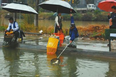 济南市全民健身运动会钓鱼比赛雨中收杆