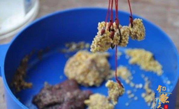玉米面 钓鱼饵料