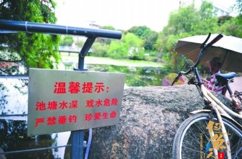 中山石岐文化公园湖边钓鱼忙警示牌成了摆设
