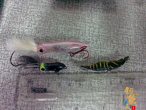 鱼为什么会攻击路亚（假饵）