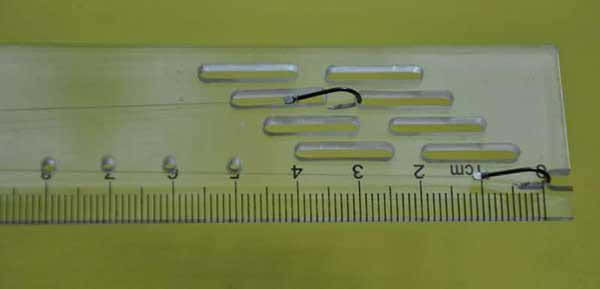 钓鱼技巧)子线钩距调整的基本原则