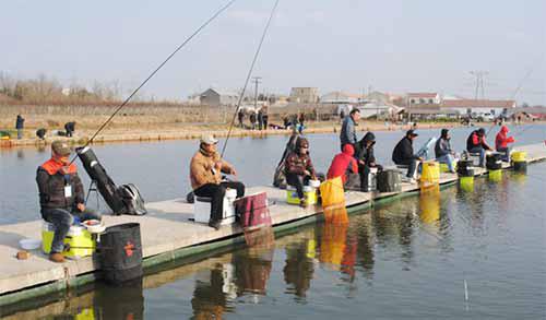 经验分享:黑坑鱼塘钓鱼不上鱼的20个原因