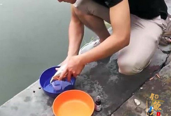 钓鱼用小药,钓鱼没小药真的不行吗?
