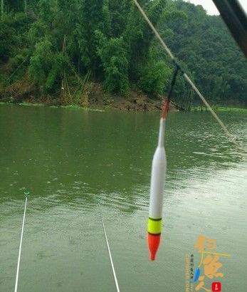 夏季手竿浮钓鲢鳙技巧含:钓组配置、饵料配方