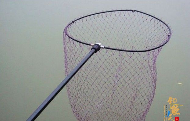 抄网口径要大,以便能顺利的抄鱼