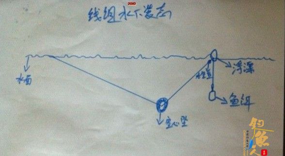 海竿浮钓鲢鳙技巧新手入门篇