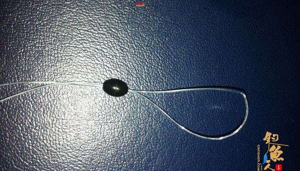 海竿浮钓鲢鳙技巧新手入门篇