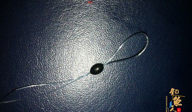 海竿浮钓鲢鳙技巧新手入门篇