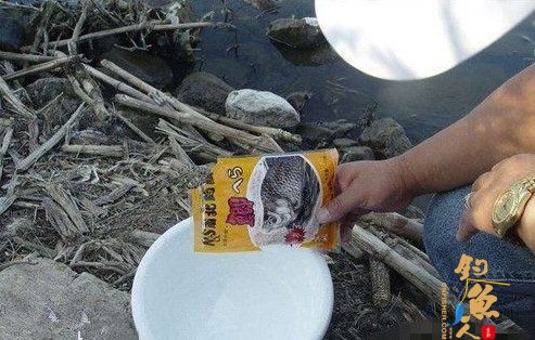 竿钩线漂饵配置--手竿垂钓鲢鳙鱼大全