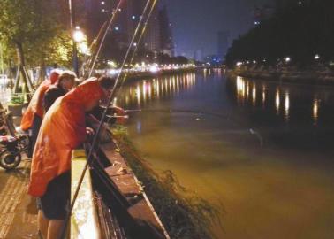 成都夜钓一族：锦江边通宵垂钓 月收入四五千元