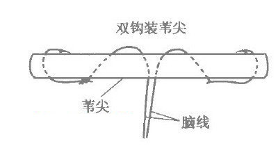 双钩装苇尖钓草鱼