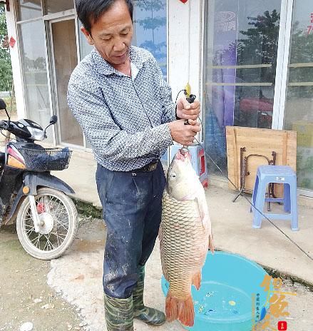 漳州男子天然钓鱼场钓起22斤大鲤鱼