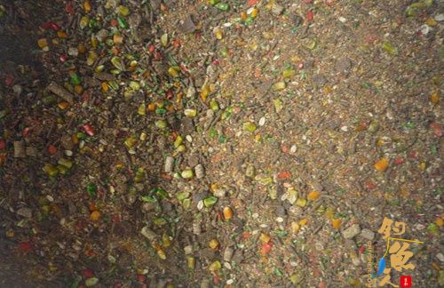 关于日常钓鱼打窝聚鱼，你真的做对了吗