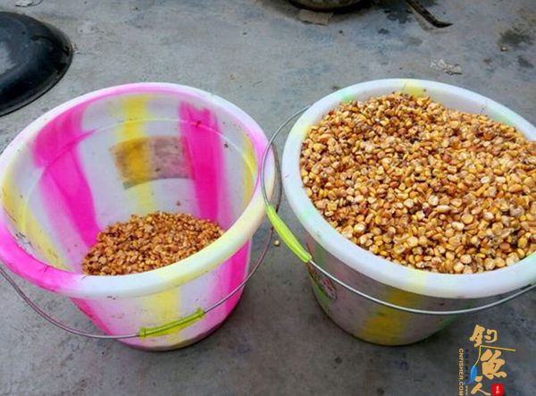 关于日常钓鱼打窝聚鱼，你真的做对了吗