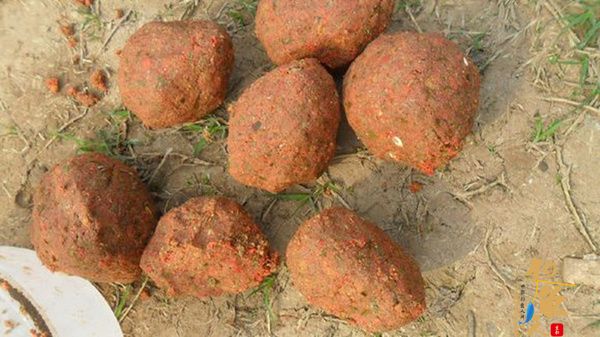 关于日常钓鱼打窝聚鱼，你真的做对了吗