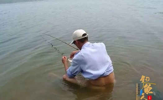 钓鱼过程中要遇到走标,可以通过改变线径、延长钓目、用跑铅及副坠