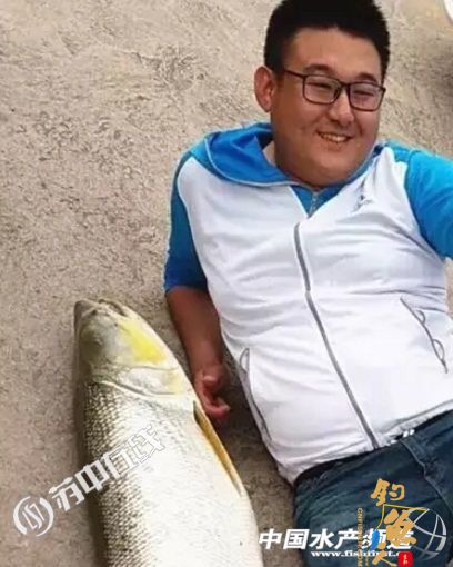 江苏秦州一钓鱼爱好者在野河中钓到一条罕见的55斤重鳡鱼,此鱼专吃小鱼