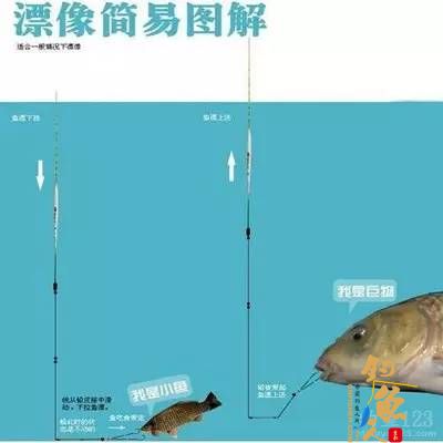 鱼吃漂像简易图解
