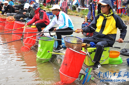 泰州行全国钓鱼大赛在靖江开赛 326名高手过招，杭州选手夺得“池钓王”