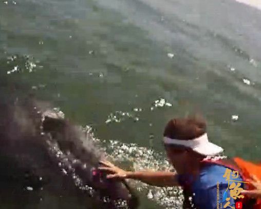 4个国外男子钓鱼时发现两条“龙形生物” 并与之嬉戏 图