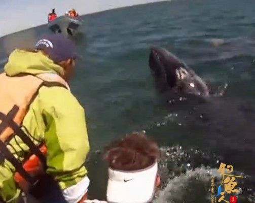 4个国外男子钓鱼时发现两条“龙形生物” 并与之嬉戏 图