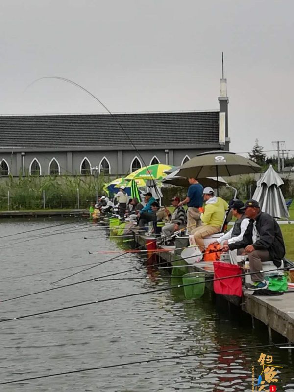 虹口职工钓鱼比赛火热开杆 87名垂钓高手比拼技艺 (图)