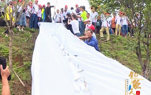 岳阳市“健康运动、快乐垂钓”鱼类放流活动“在长安河顺利举行