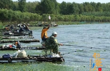 秋季草洞钓鱼需要知道这几点,有助不空军