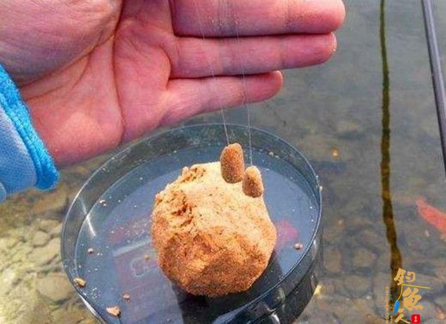 秋天钓鱼不可不知的钓鱼窍门！