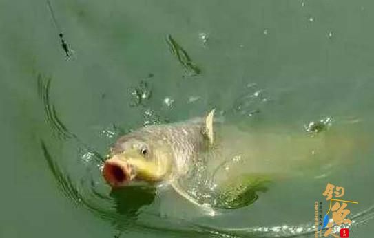 什么是钓接口？打接口的钓鱼技巧！