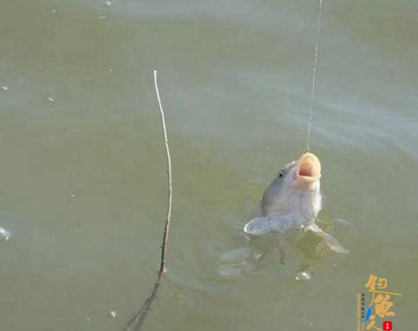 什么是钓接口？打接口的钓鱼技巧！