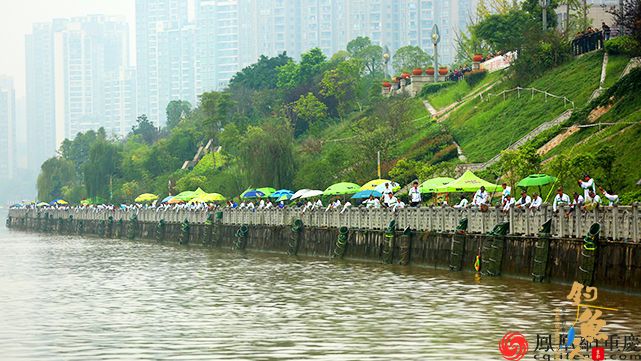 合川文旅融合占钓鱼竞赛高地 600国内高手竞夺35万奖金