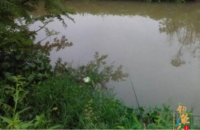 看看高手如何解释深秋初冬季节选择这些水域垂钓才能有收获?