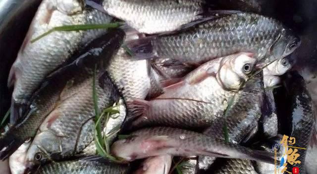 看看高手如何解释深秋初冬季节选择这些水域垂钓才能有收获?