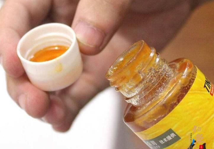 关于小药在实际垂钓中的五个问题