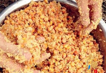 深秋钓鱼的这些技巧你还不知道？浮漂、玉米窝