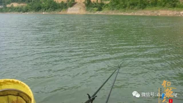 春天钓鱼的用饵之道！